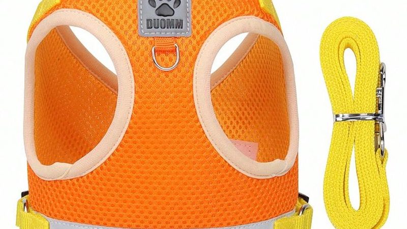 模块化风冷制冷机组：揭秘其高效与成本优势